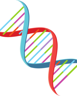 Metagenomics分析10G