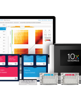 10X Genomics