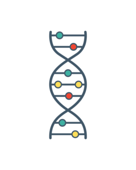 Small RNA 10M 含分析